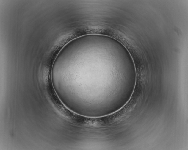 X0000112510742200908171333