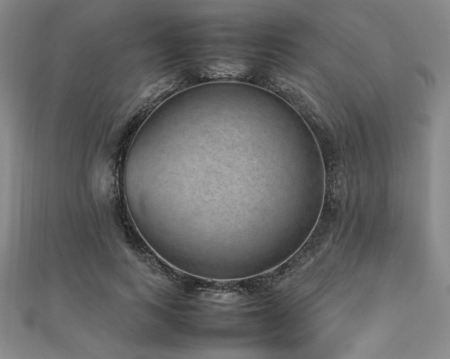 X0000112510743200908171333