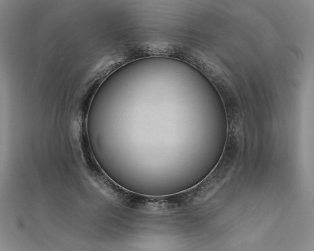 X0000112510744200908171333