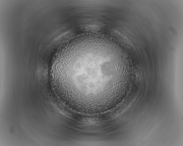 X0000112510745200908171333