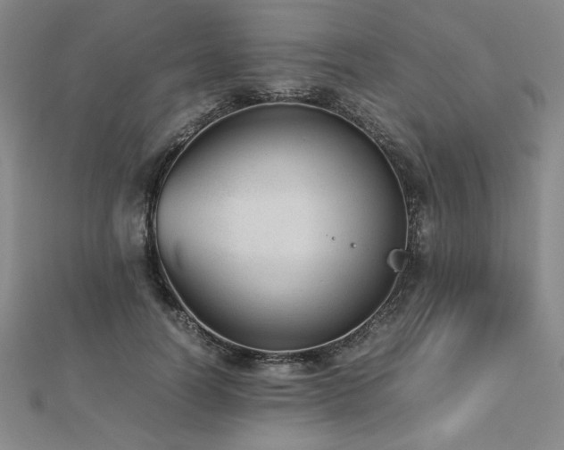 X0000112510746200908171333