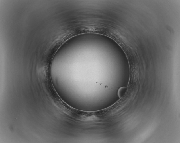 X0000112510747200908171333