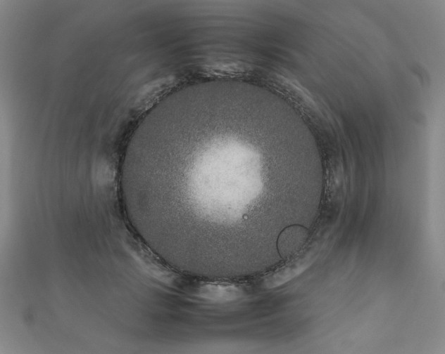 X0000112510749200908171333