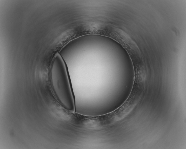 X0000112510750200908171333