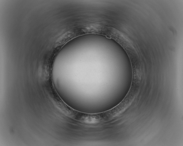 X0000112510751200908171333