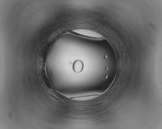 X0000112510752200908171333