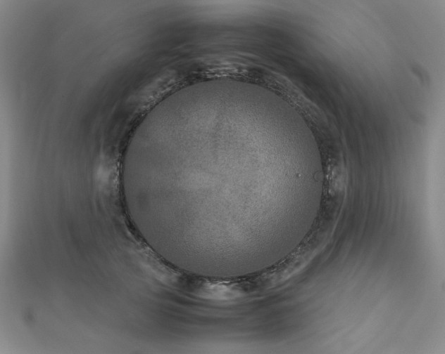 X0000112510753200908171333