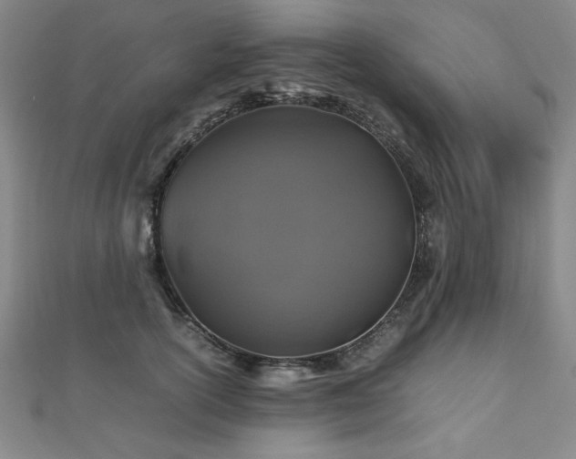 X0000112510754200908171333