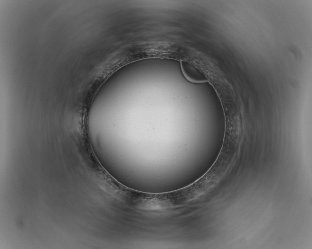 X0000112510755200908171333