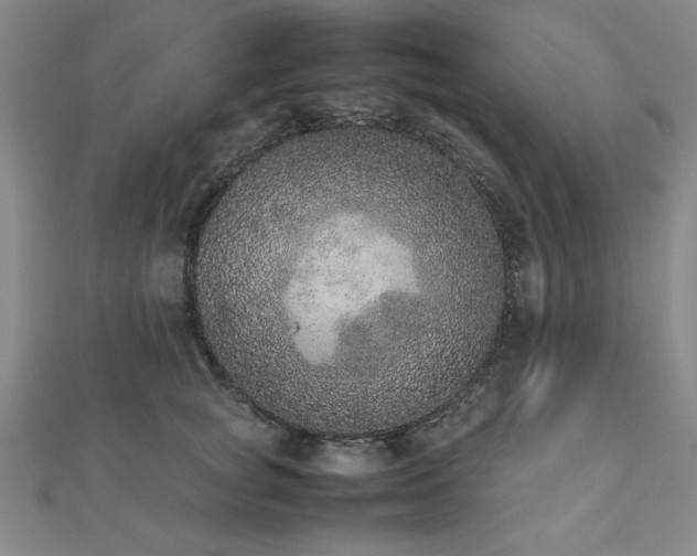 X0000112510757200908171333