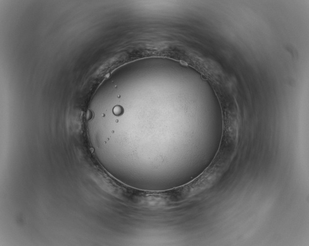 X0000112510758200908171333