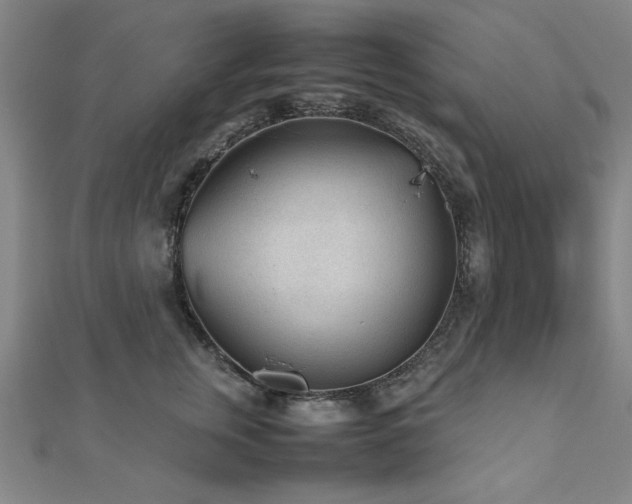 X0000112510759200908171333