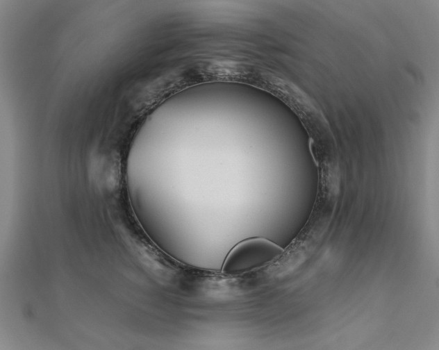 X0000112510760200908171333