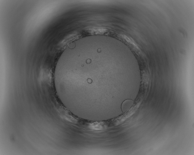 X0000112510761200908171333