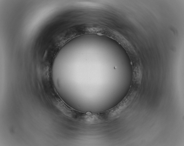 X0000112510762200908171333