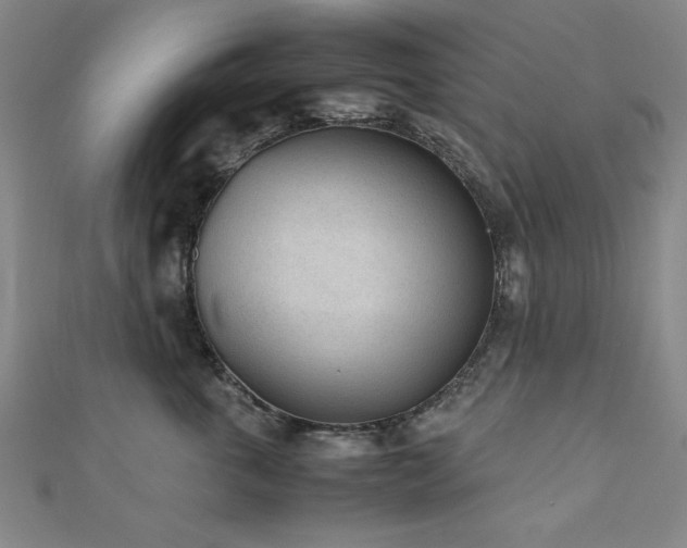 X0000112510763200908171333