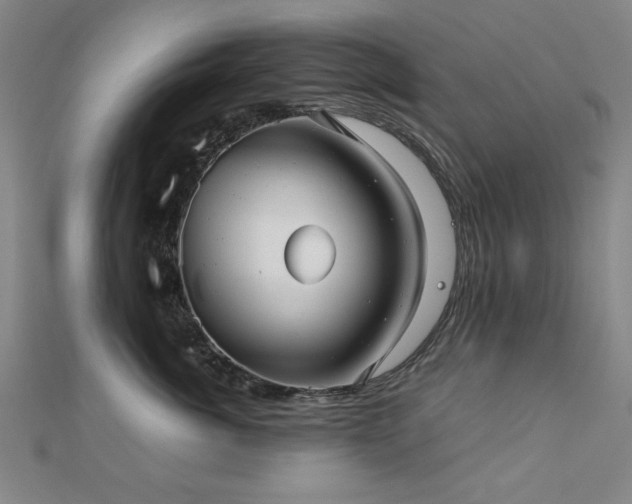 X0000112510764200908171333