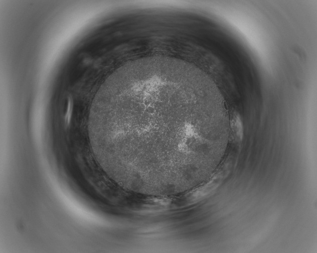 X0000112510765200908171333