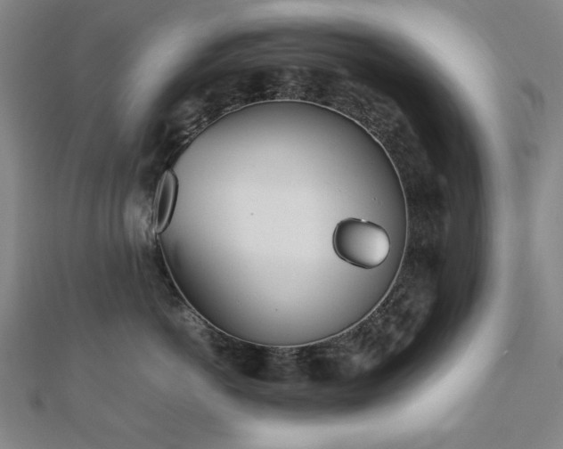 X0000112510766200908171333