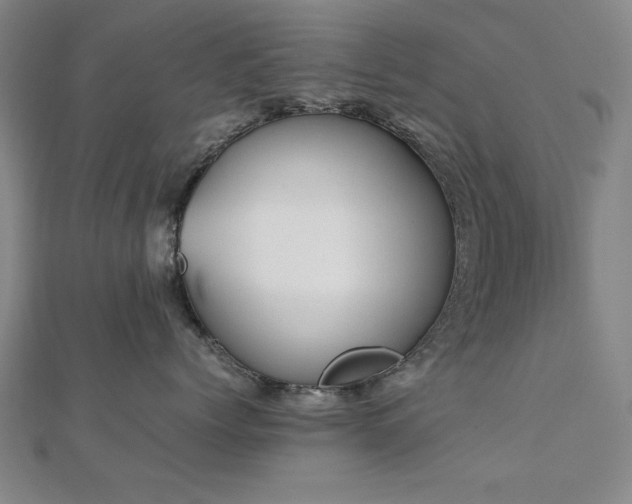 X0000112510768200908171333