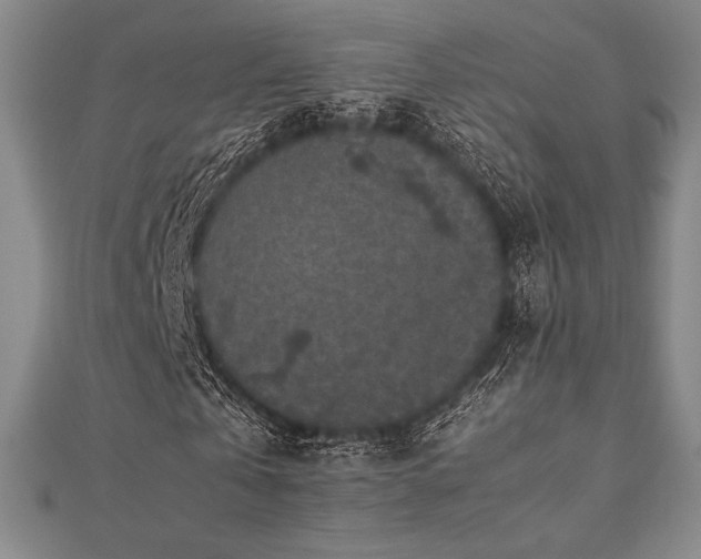 X0000112510769200908171333