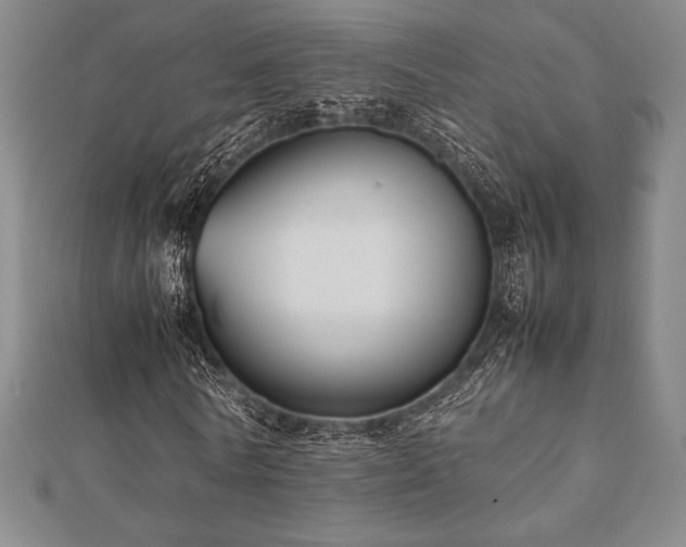 X0000112510770200908171333