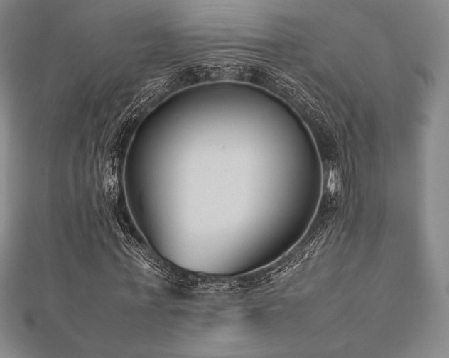 X0000112510771200908171333