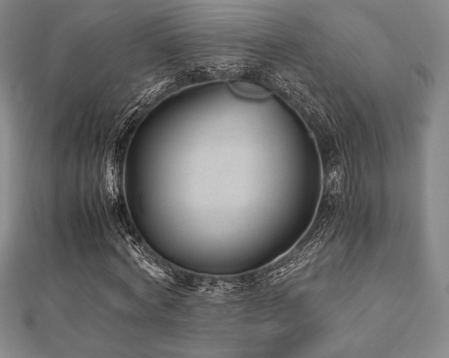 X0000112510772200908171333