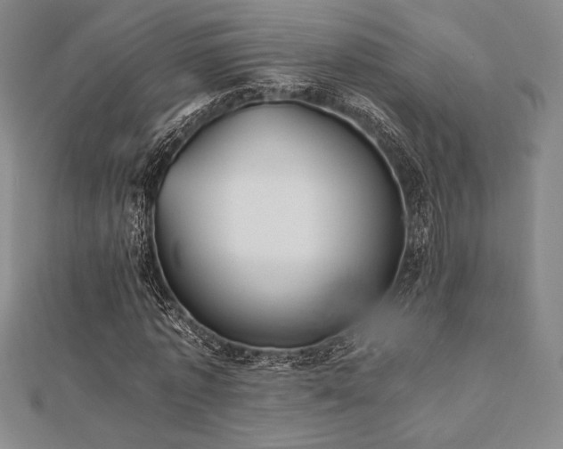 X0000112510773200908171333