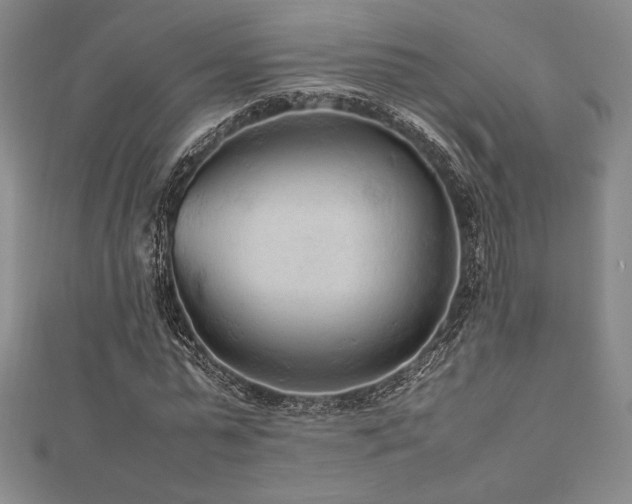 X0000112510775200908171333