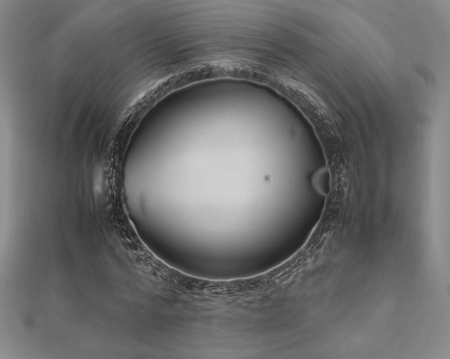 X0000112510776200908171333