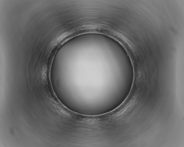 X0000112510778200908171333