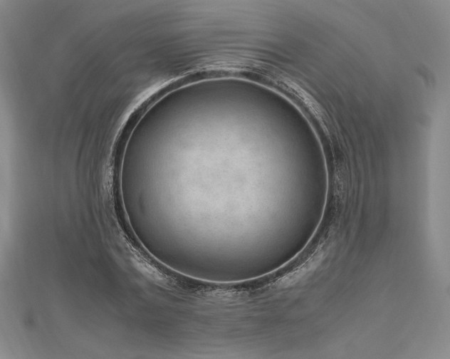 X0000112510779200908171333