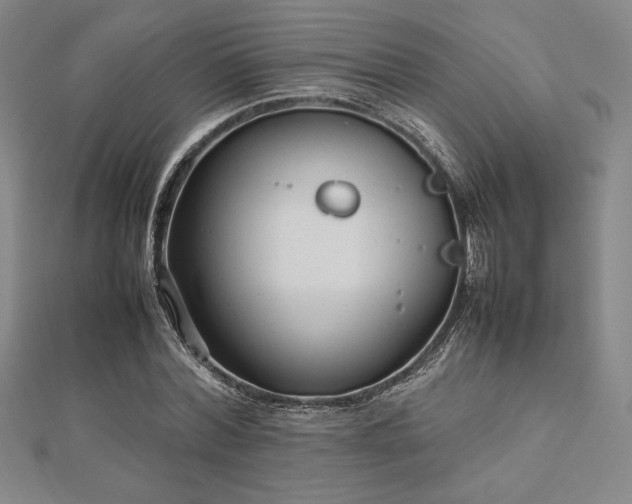 X0000112510780200908171333