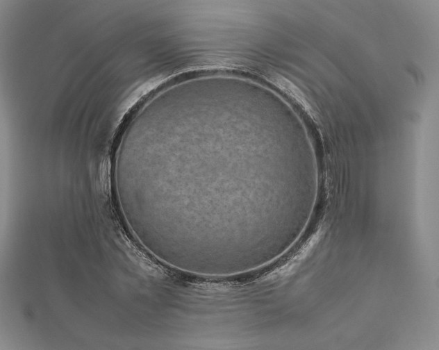 X0000112510781200908171333