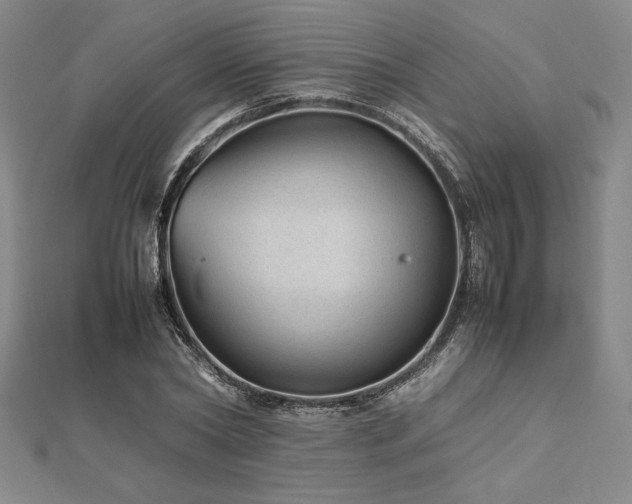 X0000112510782200908171333