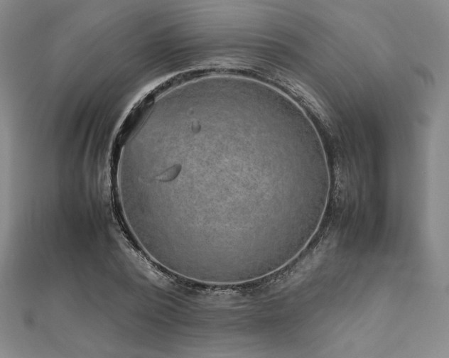 X0000112510784200908171333