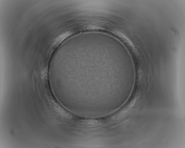 X0000112510785200908171333