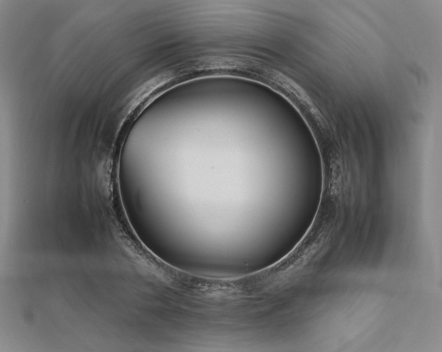 X0000112510786200908171333