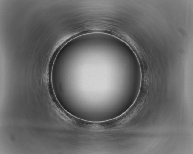 X0000112510787200908171332