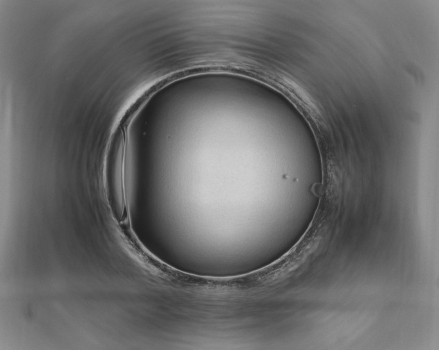 X0000112510788200908171332