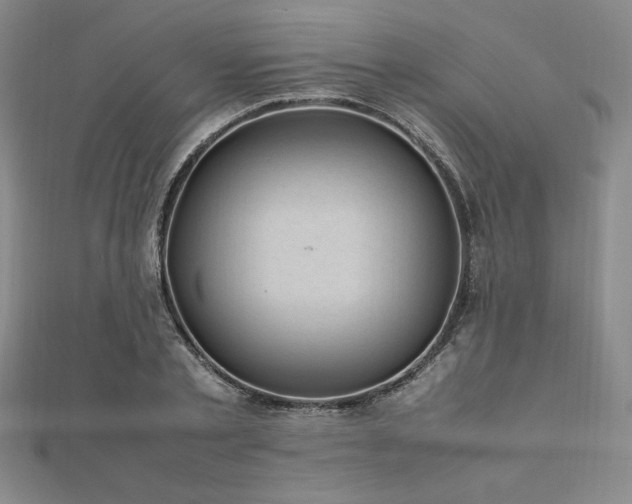 X0000112510789200908171332