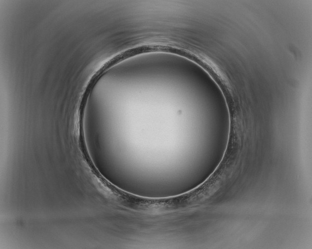 X0000112510791200908171332