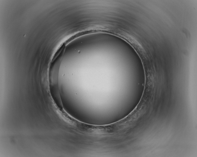 X0000112510792200908171332