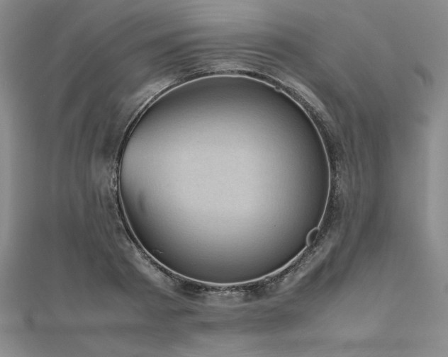 X0000112510793200908171332