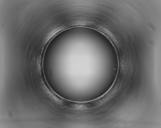 X0000112510794200908171332