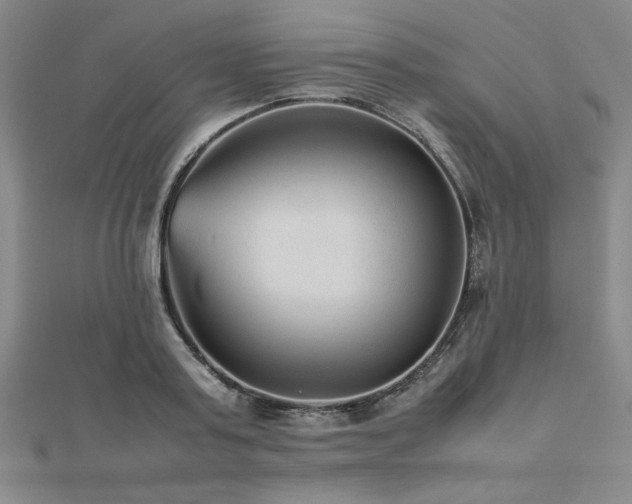 X0000112510795200908171332