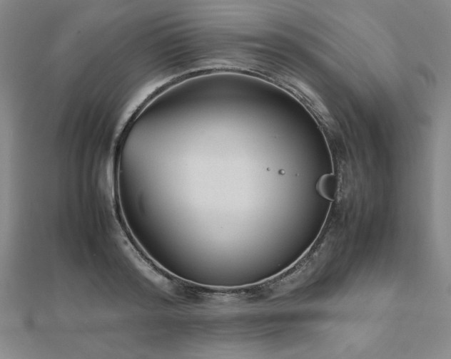 X0000112510796200908171332