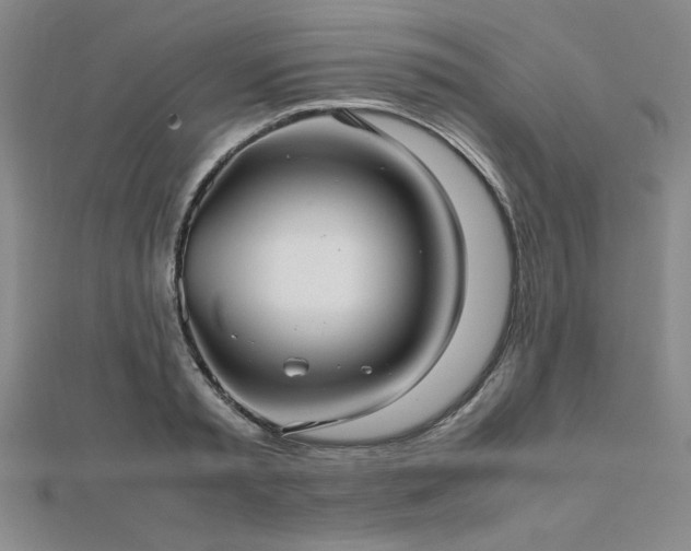 X0000112510797200908171332