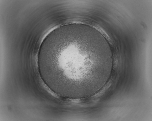 X0000112510798200908171332